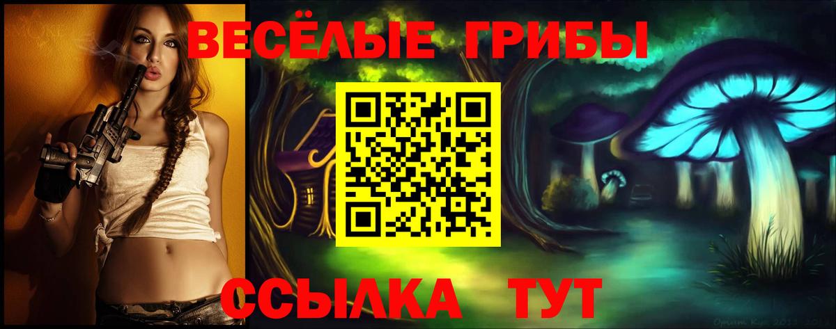Галлюциногенные грибы GOLDEN TEACHER Пятигорск